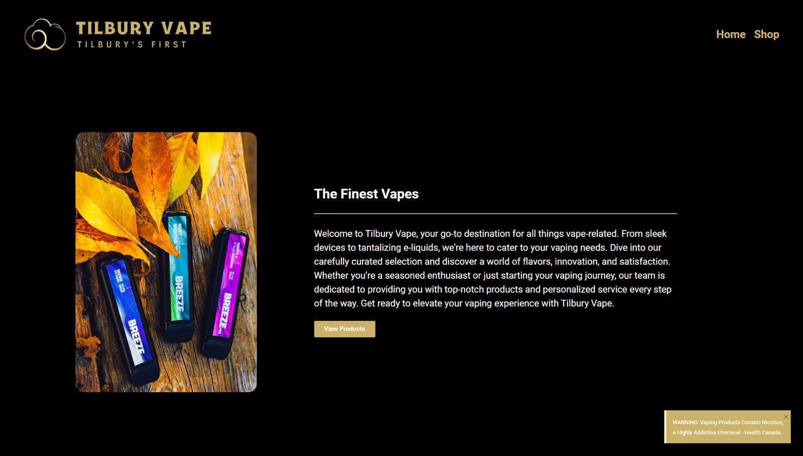 website-design-windsor-essex-tilbury-vape